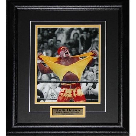 MIDWAY MEMORABILIA Midway Memorabilia Hulk Hogan Wwe Wrestling 8X10 Frame hogan_8x10